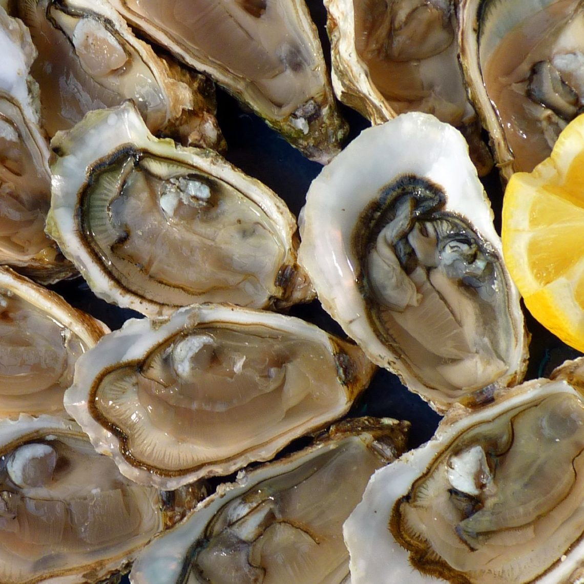oysters-1958668_1920
